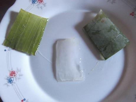 Trozos-de-%C3%A1loe-vera-1 Reizdarm