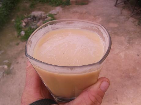 T%C3%A9-verde-con-leche-1 Teestrauch
