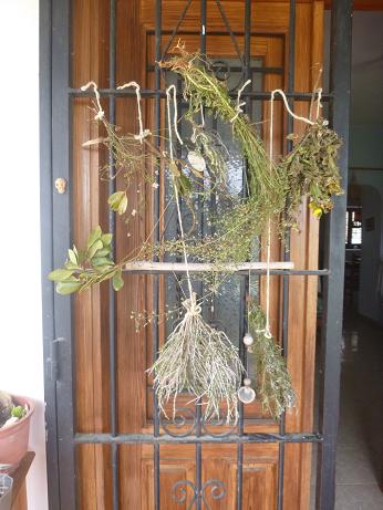 Hierbas-colgadas Trockene Kräuter