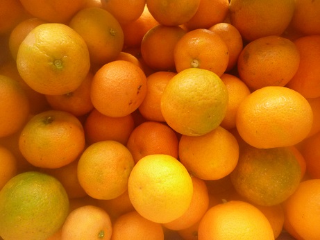 Mandarinas Mandarinenbaum